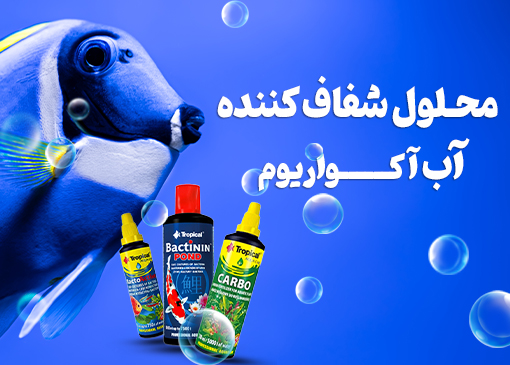 محلول آکواریوم