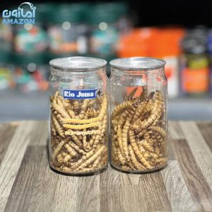 کرم میل‌ورم خشک Rio Juuna – غذای طبیعی و مقوی برای خزندگان، دوزیستان و پرندگان insectivorous