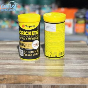جیرجیرک خشک مخصوص خزندگان و دوزیستان Tropical Crickets – for Reptiles & Amphibians