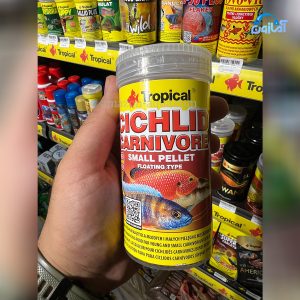 غذا تروپيكال cichlid carnivore